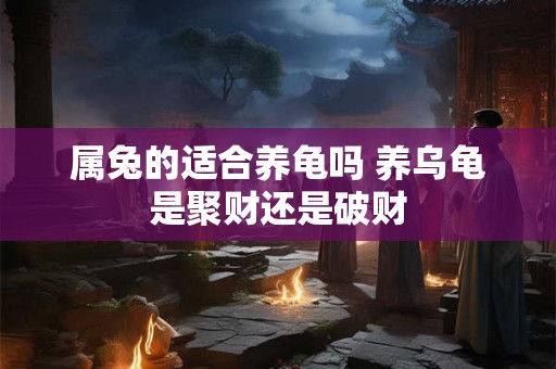 属兔的适合养龟吗 养乌龟是聚财还是破财