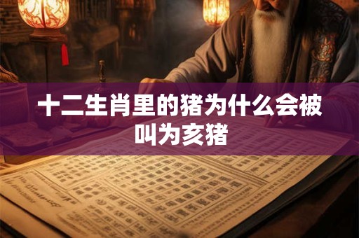 十二生肖里的猪为什么会被叫为亥猪