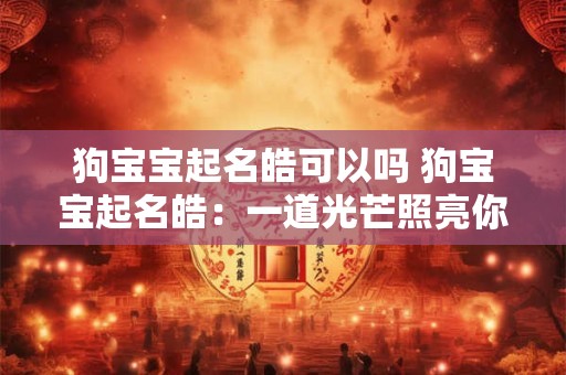 狗宝宝起名皓可以吗 狗宝宝起名皓：一道光芒照亮你的生活