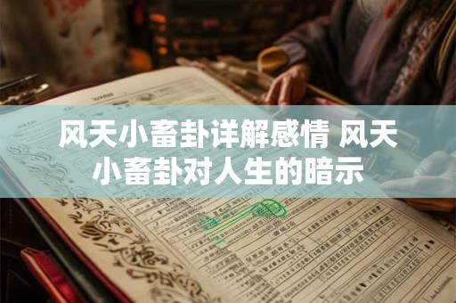 风天小畜卦详解感情 风天小畜卦对人生的暗示