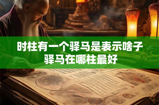 时柱有一个驿马是表示啥子 驿马在哪柱最好