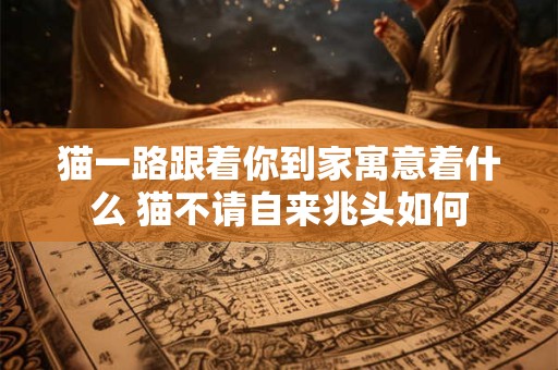 猫一路跟着你到家寓意着什么 猫不请自来兆头如何