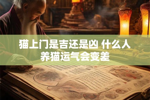 猫上门是吉还是凶 什么人养猫运气会变差