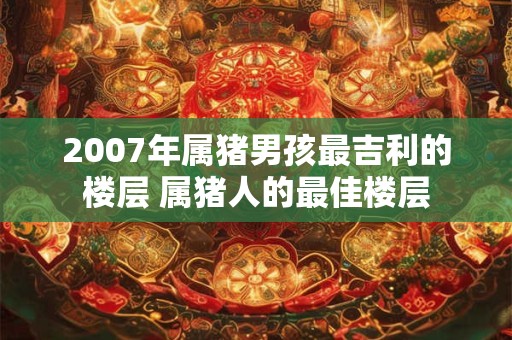 2007年属猪男孩最吉利的楼层 属猪人的最佳楼层