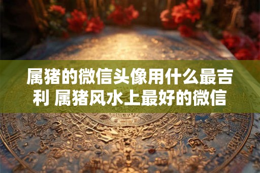 属猪的微信头像用什么最吉利 属猪风水上最好的微信头像