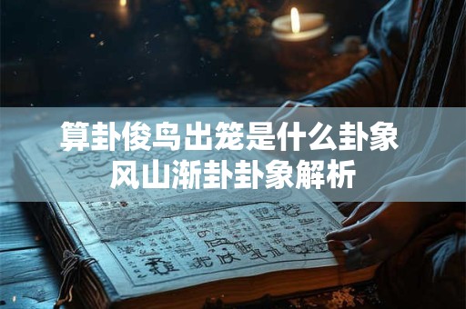 算卦俊鸟出笼是什么卦象 风山渐卦卦象解析