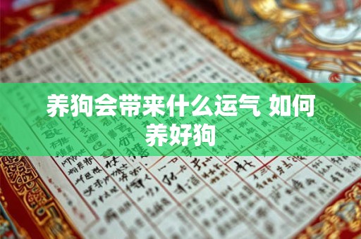养狗会带来什么运气 如何养好狗