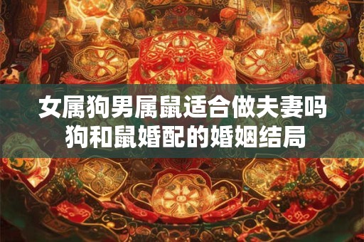 女属狗男属鼠适合做夫妻吗 狗和鼠婚配的婚姻结局