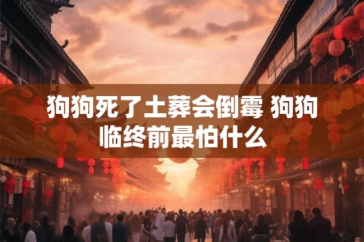 狗狗死了土葬会倒霉 狗狗临终前最怕什么