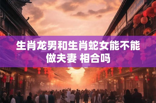 生肖龙男和生肖蛇女能不能做夫妻 相合吗