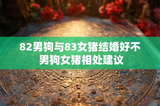82男狗与83女猪结婚好不 男狗女猪相处建议