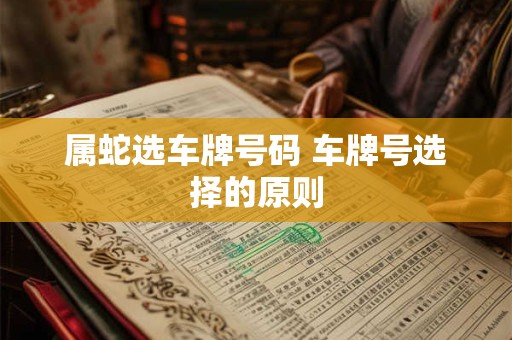 属蛇选车牌号码 车牌号选择的原则