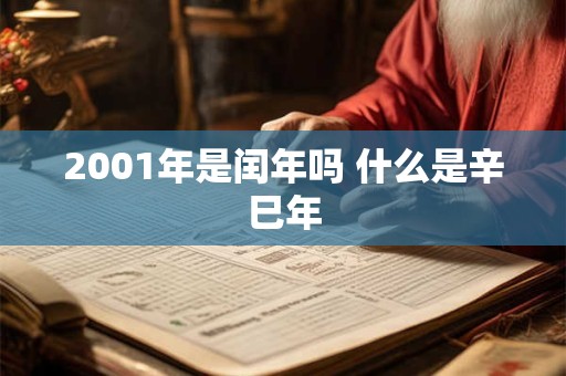 2001年是闰年吗 什么是辛巳年
