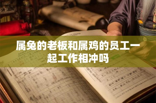 属兔的老板和属鸡的员工一起工作相冲吗