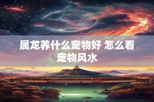 属龙养什么宠物好 怎么看宠物风水