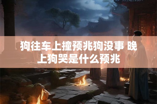 狗往车上撞预兆狗没事 晚上狗哭是什么预兆