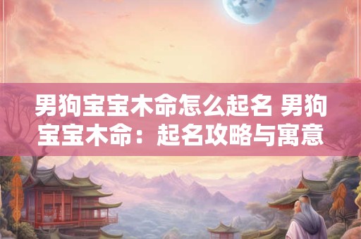 男狗宝宝木命怎么起名 男狗宝宝木命：起名攻略与寓意解读