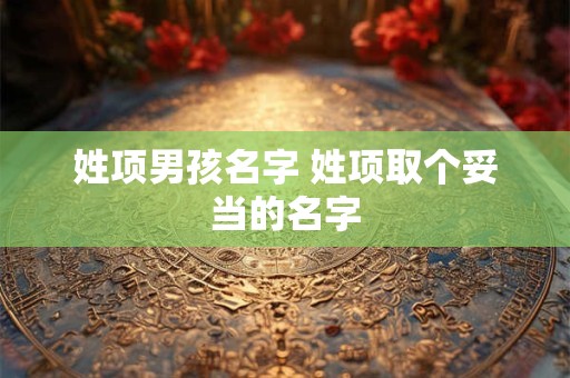 姓项男孩名字 姓项取个妥当的名字