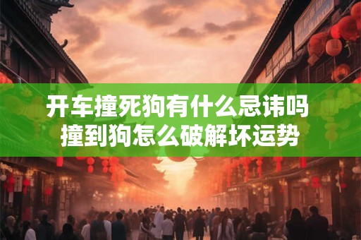 开车撞死狗有什么忌讳吗 撞到狗怎么破解坏运势