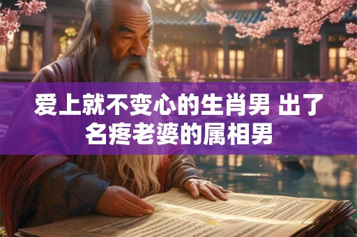 爱上就不变心的生肖男 出了名疼老婆的属相男