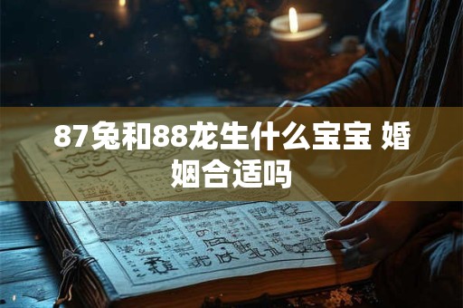 87兔和88龙生什么宝宝 婚姻合适吗