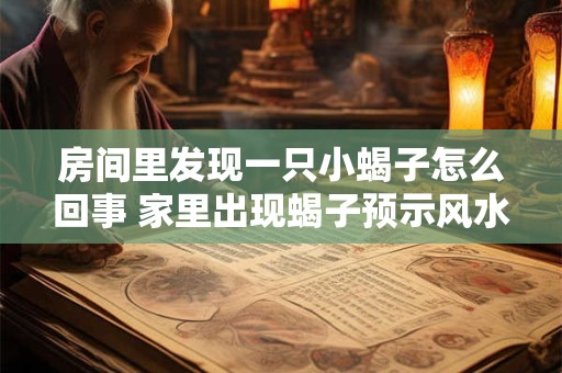 房间里发现一只小蝎子怎么回事 家里出现蝎子预示风水