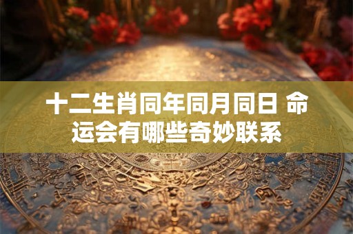 十二生肖同年同月同日 命运会有哪些奇妙联系
