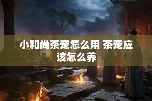 小和尚茶宠怎么用 茶宠应该怎么养