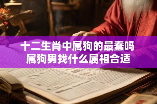 十二生肖中属狗的最蠢吗 属狗男找什么属相合适