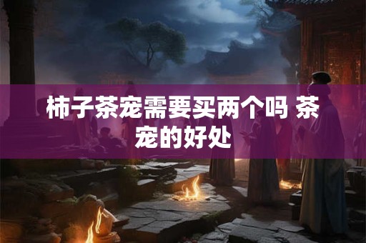 柿子茶宠需要买两个吗 茶宠的好处