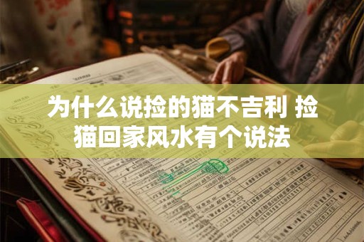 为什么说捡的猫不吉利 捡猫回家风水有个说法