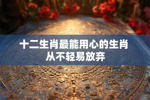十二生肖最能用心的生肖 从不轻易放弃