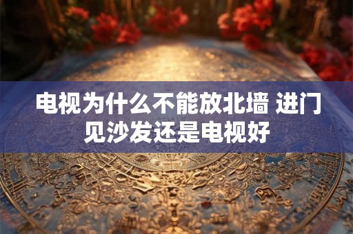 电视为什么不能放北墙 进门见沙发还是电视好