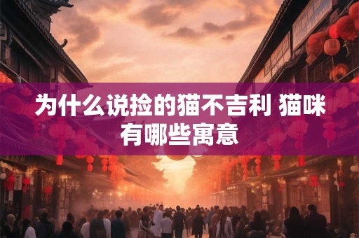 为什么说捡的猫不吉利 猫咪有哪些寓意