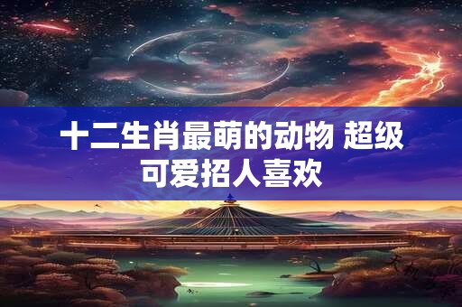 十二生肖最萌的动物 超级可爱招人喜欢