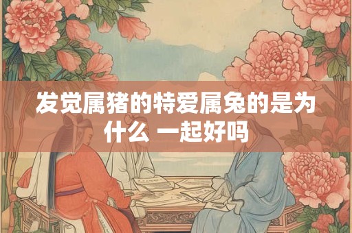发觉属猪的特爱属兔的是为什么 一起好吗