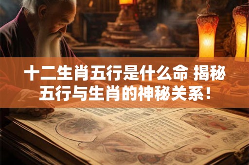 十二生肖五行是什么命 揭秘五行与生肖的神秘关系！