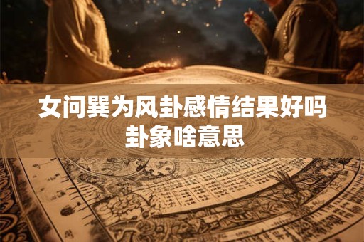 女问巽为风卦感情结果好吗 卦象啥意思