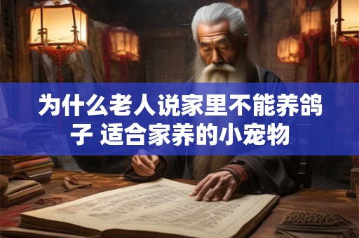 为什么老人说家里不能养鸽子 适合家养的小宠物