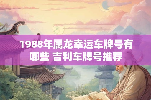 1988年属龙幸运车牌号有哪些 吉利车牌号推荐