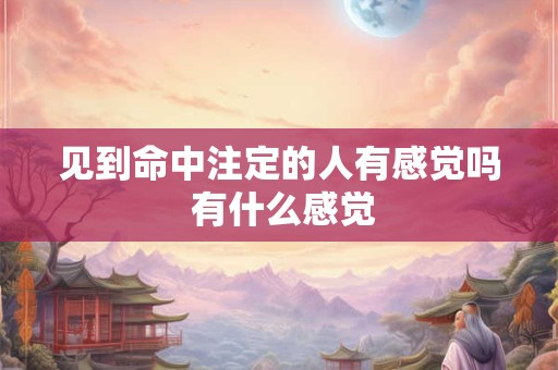 见到命中注定的人有感觉吗 有什么感觉