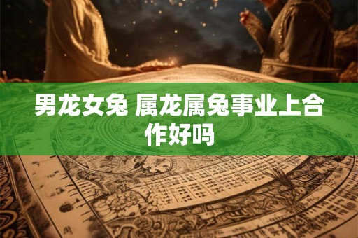 男龙女兔 属龙属兔事业上合作好吗