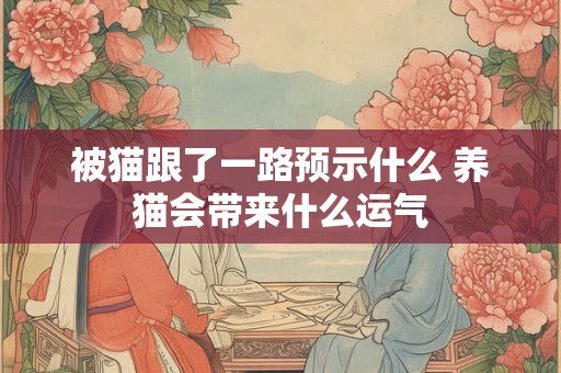被猫跟了一路预示什么 养猫会带来什么运气