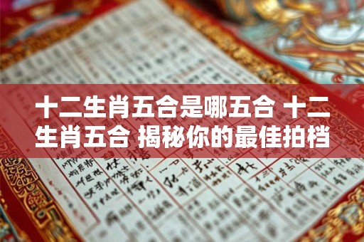 十二生肖五合是哪五合 十二生肖五合 揭秘你的最佳拍档！