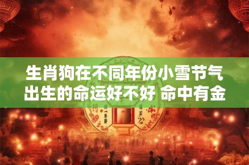 生肖狗在不同年份小雪节气出生的命运好不好 命中有金财吗