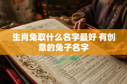 生肖兔取什么名字最好 有创意的兔子名字