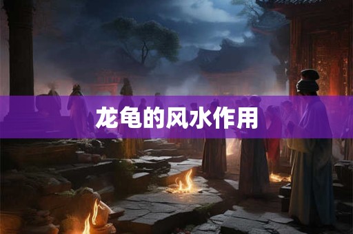 龙龟的风水作用