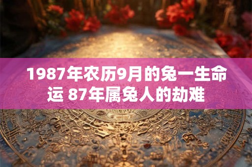 1987年农历9月的兔一生命运 87年属兔人的劫难