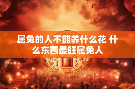 属兔的人不能养什么花 什么东西最旺属兔人
