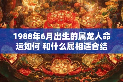 1988年6月出生的属龙人命运如何 和什么属相适合结婚